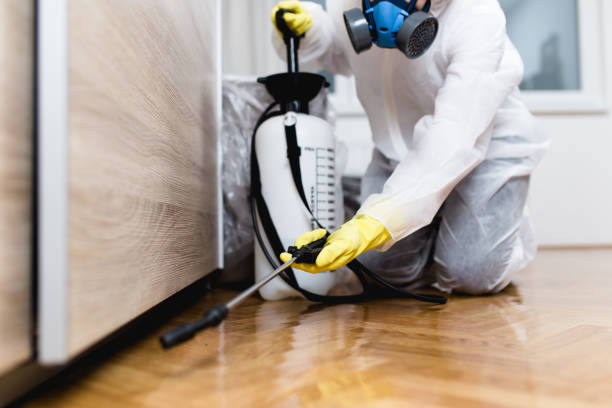 Best Wildlife Control Services  in Wyboo, SC