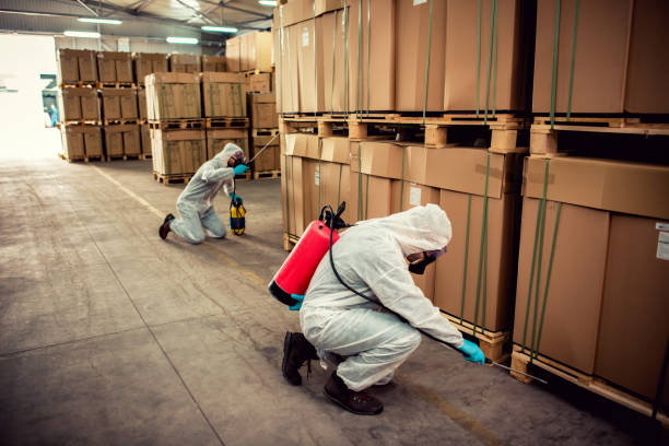 Best Affordable Pest Control Services  in Wyboo, SC