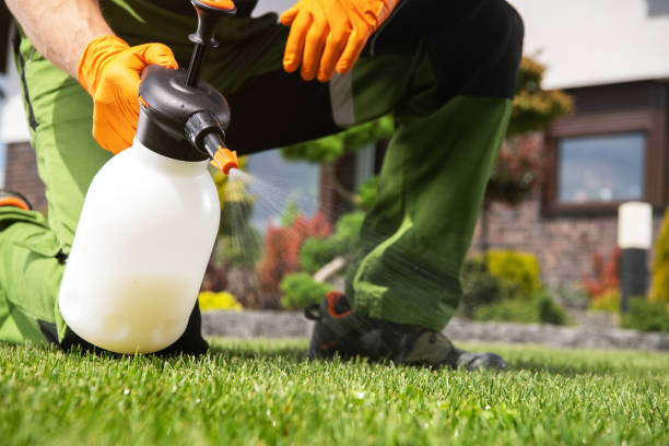 Best Commercial Pest Control Services  in Wyboo, SC