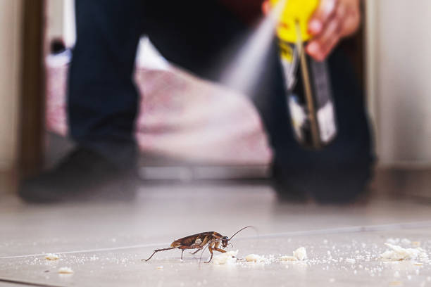Reliable Wyboo, SC Pest Control Solutions